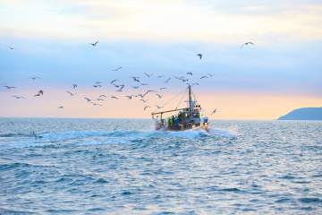 Formation au permis bateau pour la pêche au large près de Mouvaux Formation au permis bateau pour la pêche au large près de Mouvaux