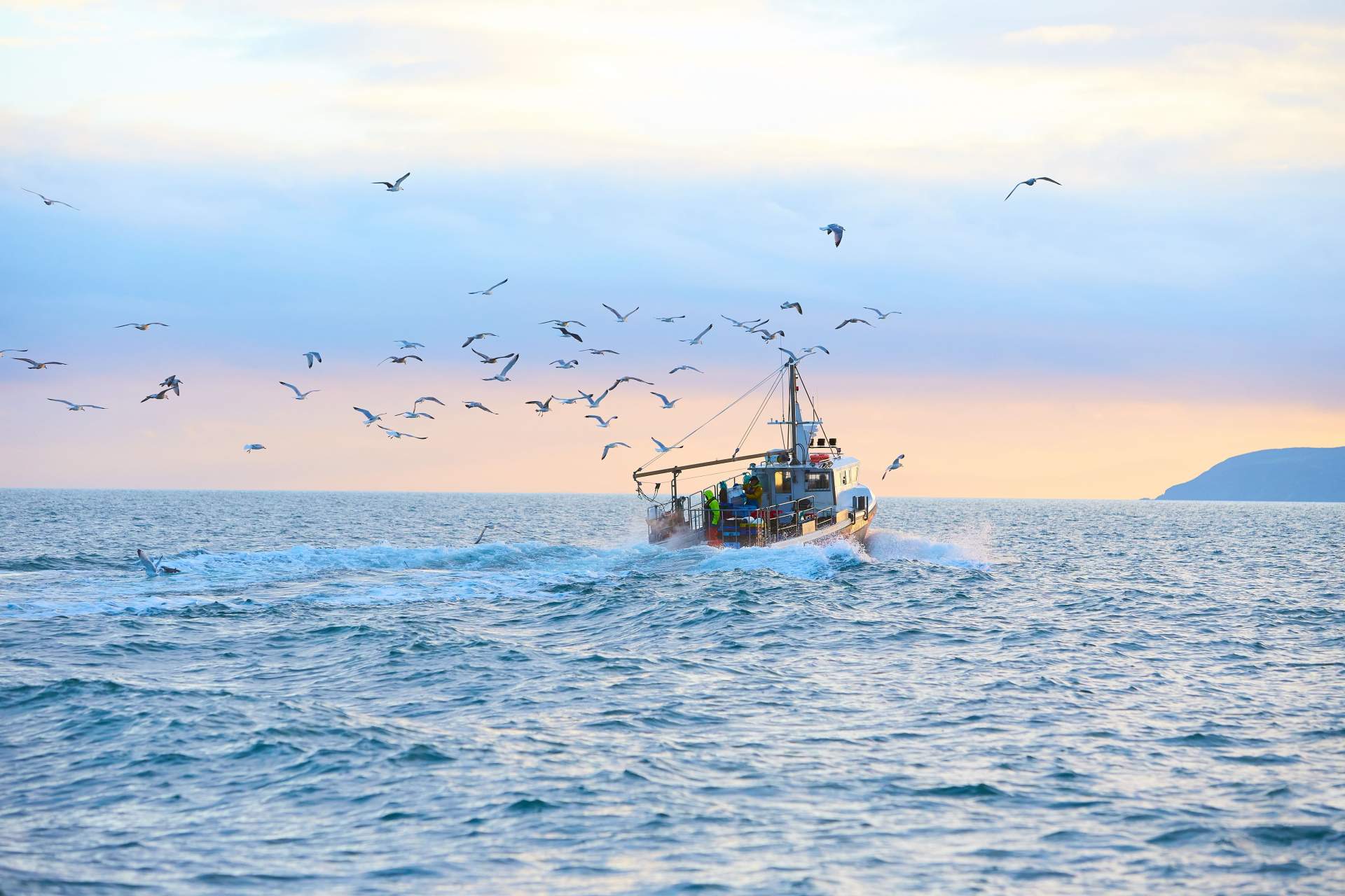 Formation au permis bateau pour la pêche au large près de Mouvaux